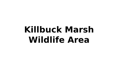 Click to view Killbuck Marsh Wildlife Area link