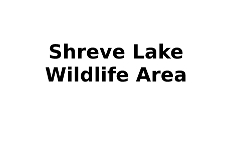 Click to view Shreve Lake Wildlife Area link