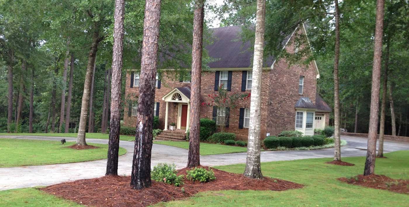 Beautifully landscaped exterior of a home