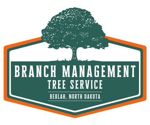 Branch Management Tree Service's Logo