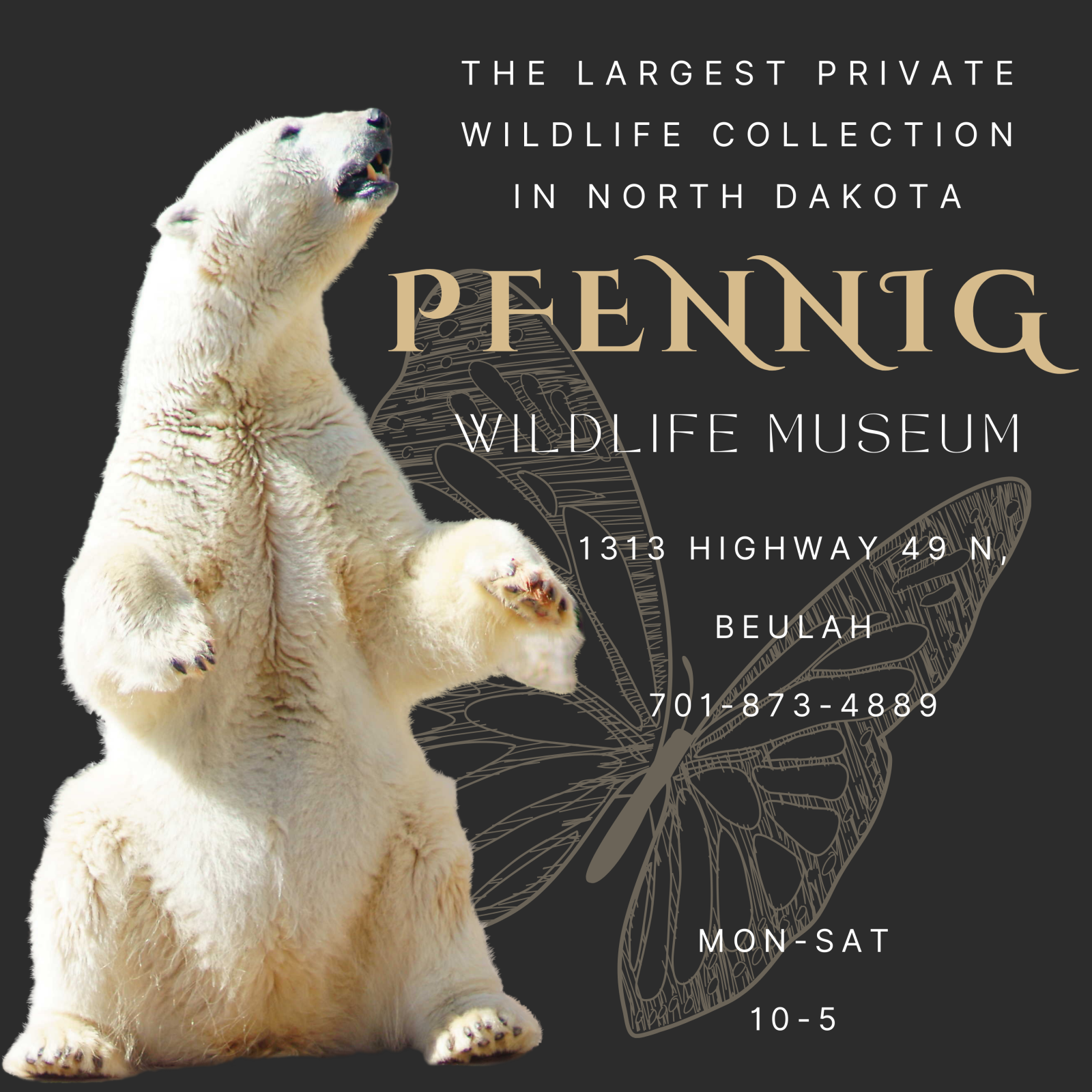 Pfennig Wildlife Museum's Logo
