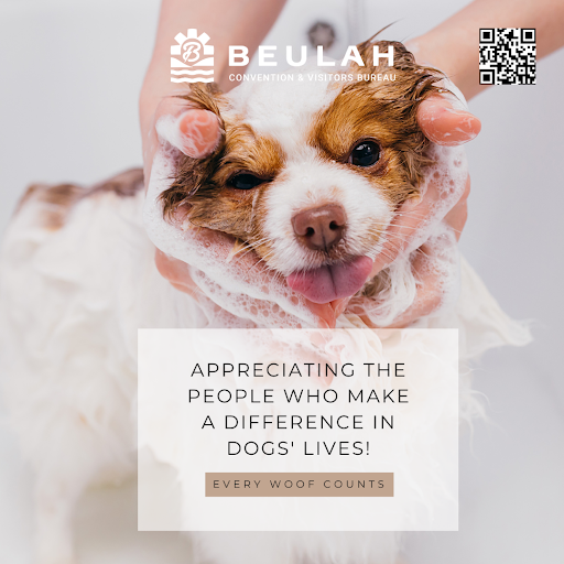 Beulah CVB Celebrates Dog Appreciation Month & Honors Canine-Friendly Businesses Photo