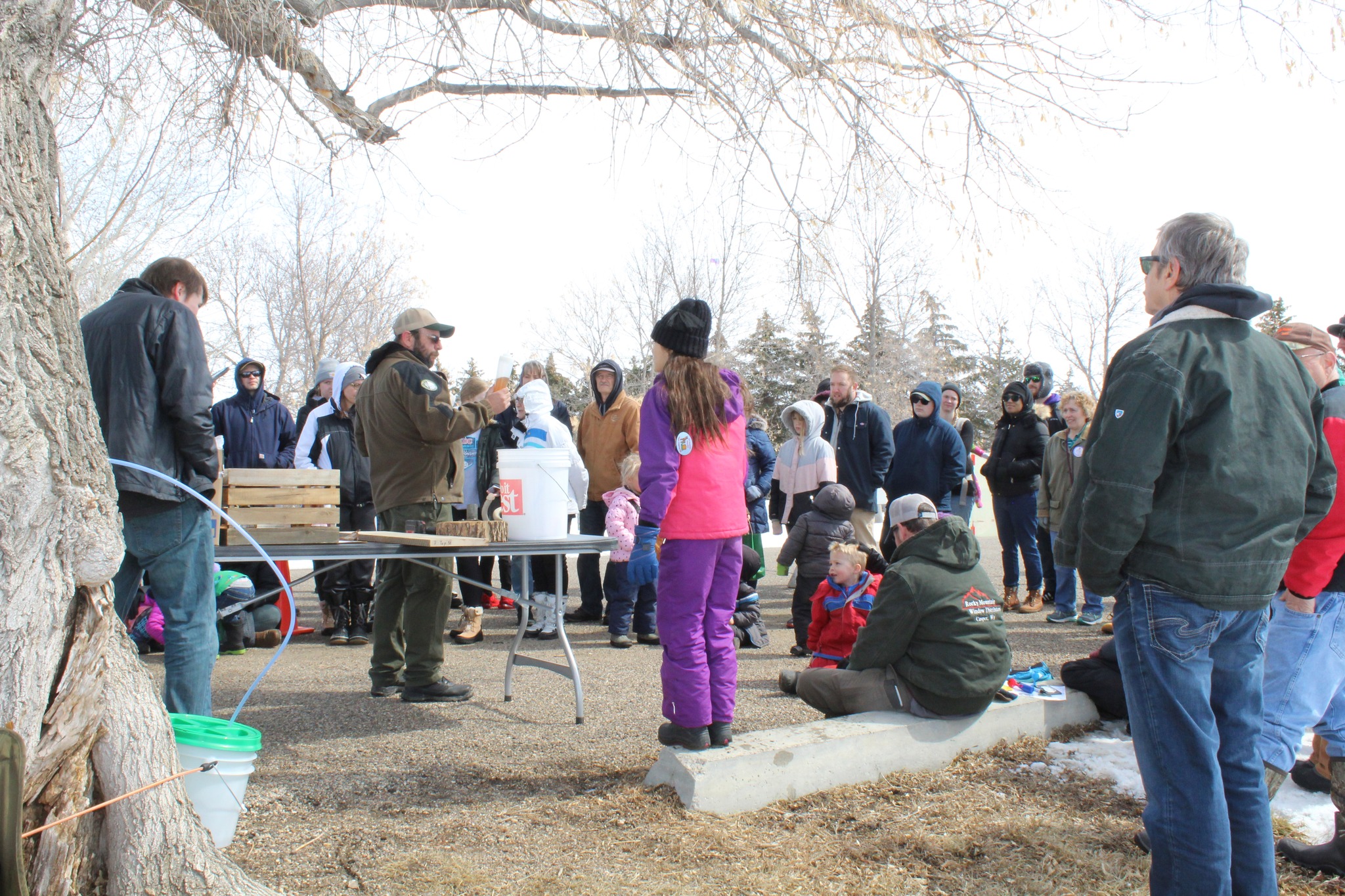 Event Promo Photo For Maple Sugaring Day