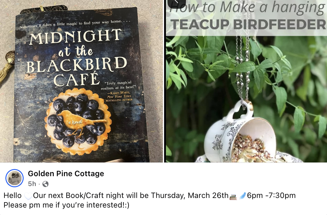 Event Promo Photo For Golden Pine Cottages Book and Craft Night