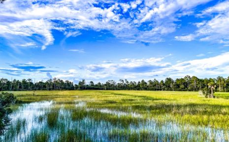 Revived Alexandria to the Gulf study will examine regional flood solutions Photo