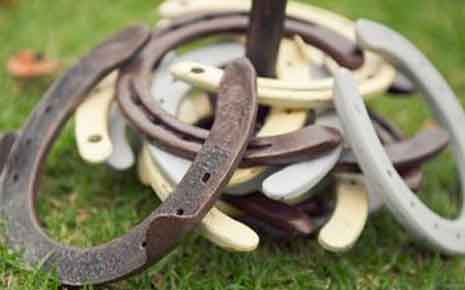 Horseshoes Photo