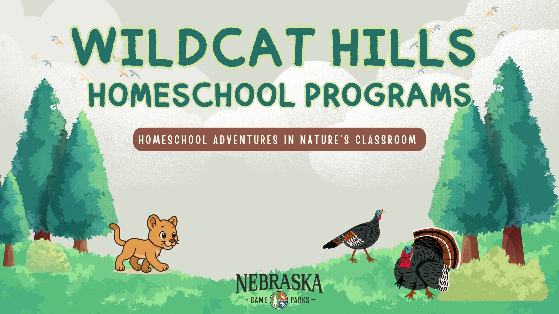 Event Promo Photo For Wildcat Hills Homeschool Program