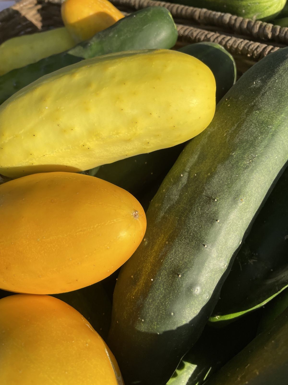 Event Promo Photo For Opening Day - 18th Street Farmers Market