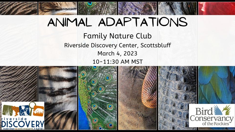 Event Promo Photo For Family Nature Club: Animal Adaptations