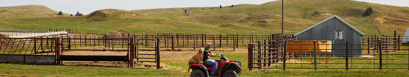 man with dog driving atv on country road