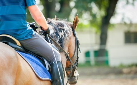 Horseback Riding Photo