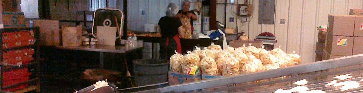 food manufacturer processing bagged popcorn