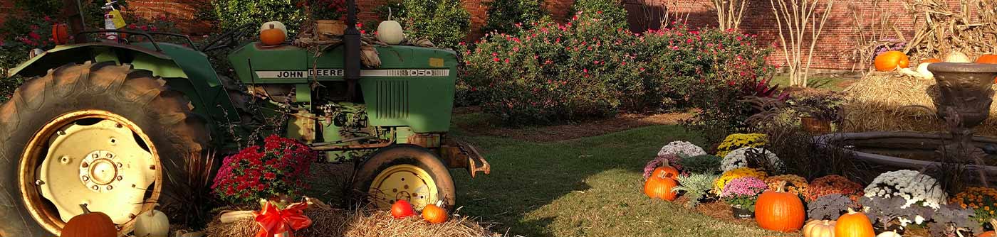 green tractor and pumpkins
