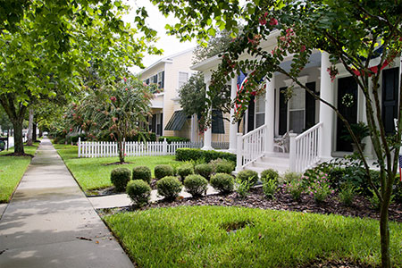 Homes on a quiet tree lined street