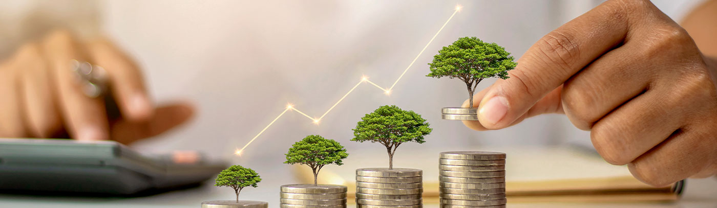 stacks of coins with trees on top and graph showing increasing value