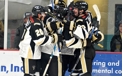 Bismarck Bobcats Photo