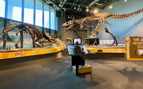 North Dakota Heritage Center and State Museum Photo