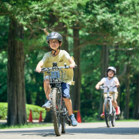 Four Seasons of Recreation