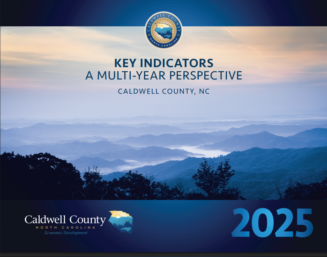 2025 Key Indicators Report