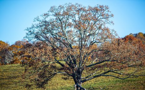 Caldwell County NC Foothills Itinerary Photo