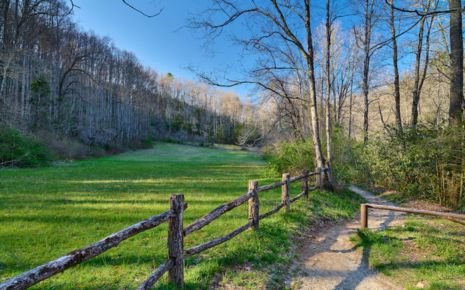 Pisgah National Forest Photo