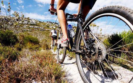 Zacks Fork Mountain Biking Trail Photo