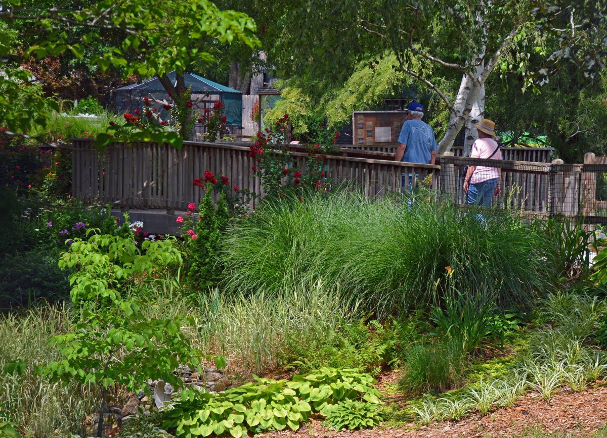 The David Traylor Zoo of Emporia Provides Free Animal Fun Year-Round main photo