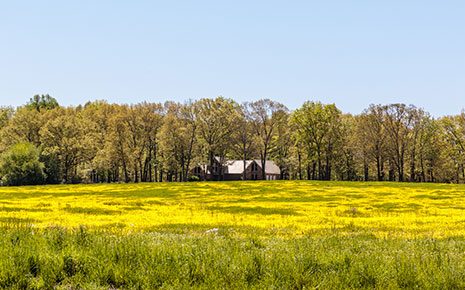 home in the country surrounded by trees