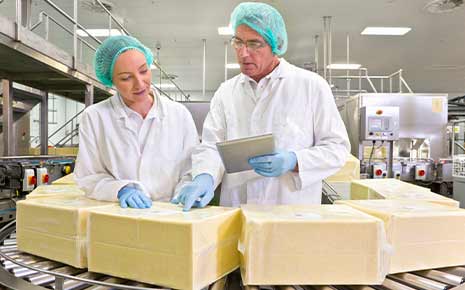 two workers on a cheese factory line inspecting product