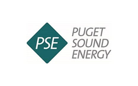 Puget Sound Energy Slide Image