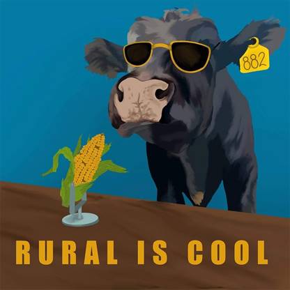 A black cow with sunglasses on getting ready to talk into a corn husk that's mimicking a microphone for a podcast. Caption inside of picture says 'Rural is cool'