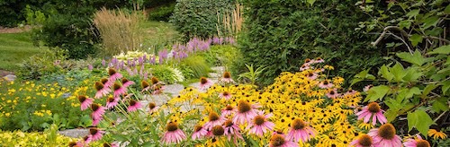Explore All Carver County has to Offer During National Travel and Tourism Week Photo