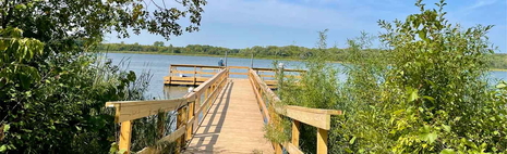 Summer Recreation Photo