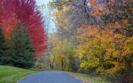 View the Changing Leaves at One of the Many Parks and Trails Photo