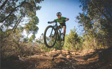 Paradise Playground: A Mountain Bike Playground Photo