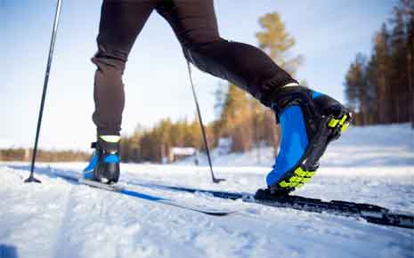 Cross Country Skiing Photo