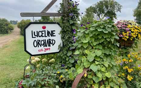 Visit Luceline Orchard in Watertown Photo