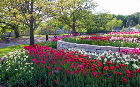 Minnesota Landscape Arboretum Photo