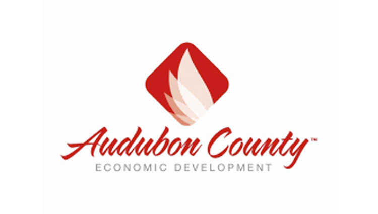 Executive Summary: Audubon