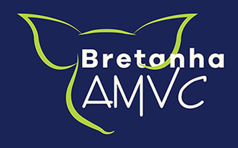 AMVC, Bretanha announce a joint venture in Brazil Photo