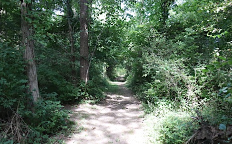 Click to view Henry B. Wilson Park & Trail link