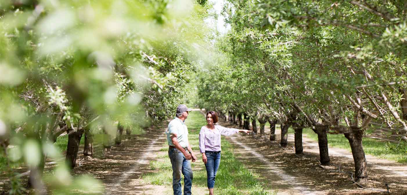 family business owners discussing orchard crop