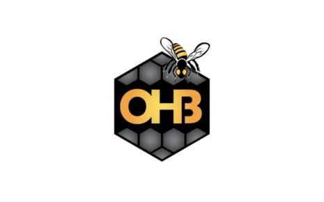 Olivarez Honey Bee Photo