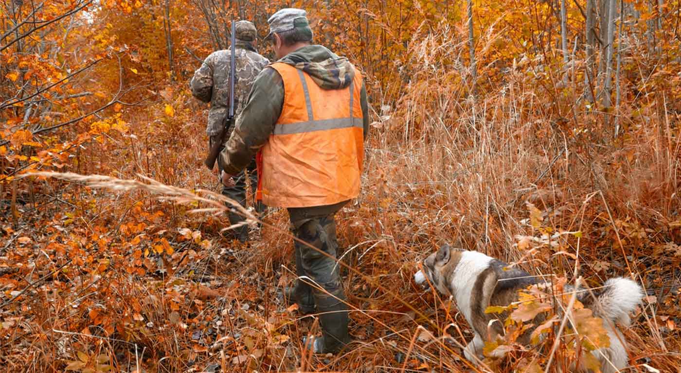 two men in camouflage walking woods with hunting gear and dog