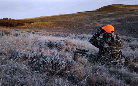 Hunt in the Grasslands Photo