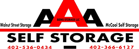 Beins Storage LLC's Logo