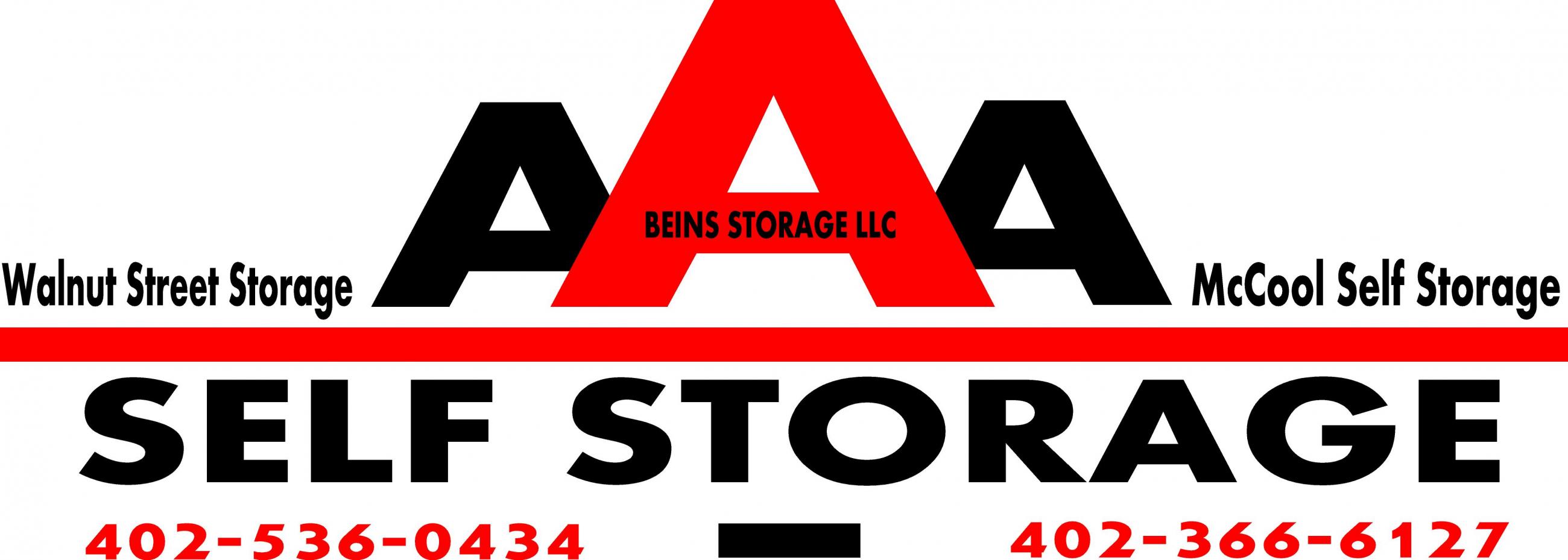 Beins Storage LLC's Logo