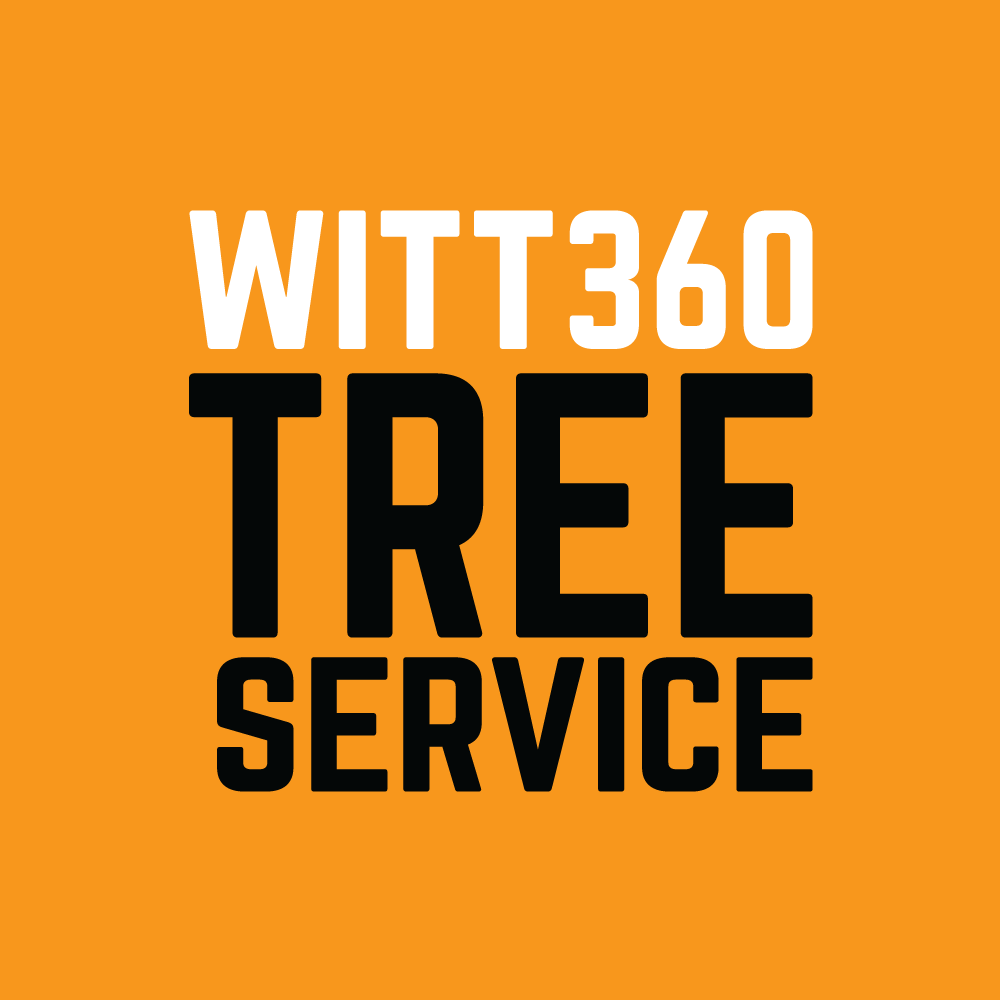 WITT 360 Tree Service's Image