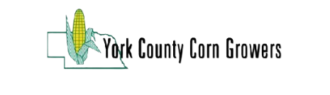 York County Corn Growers's Logo