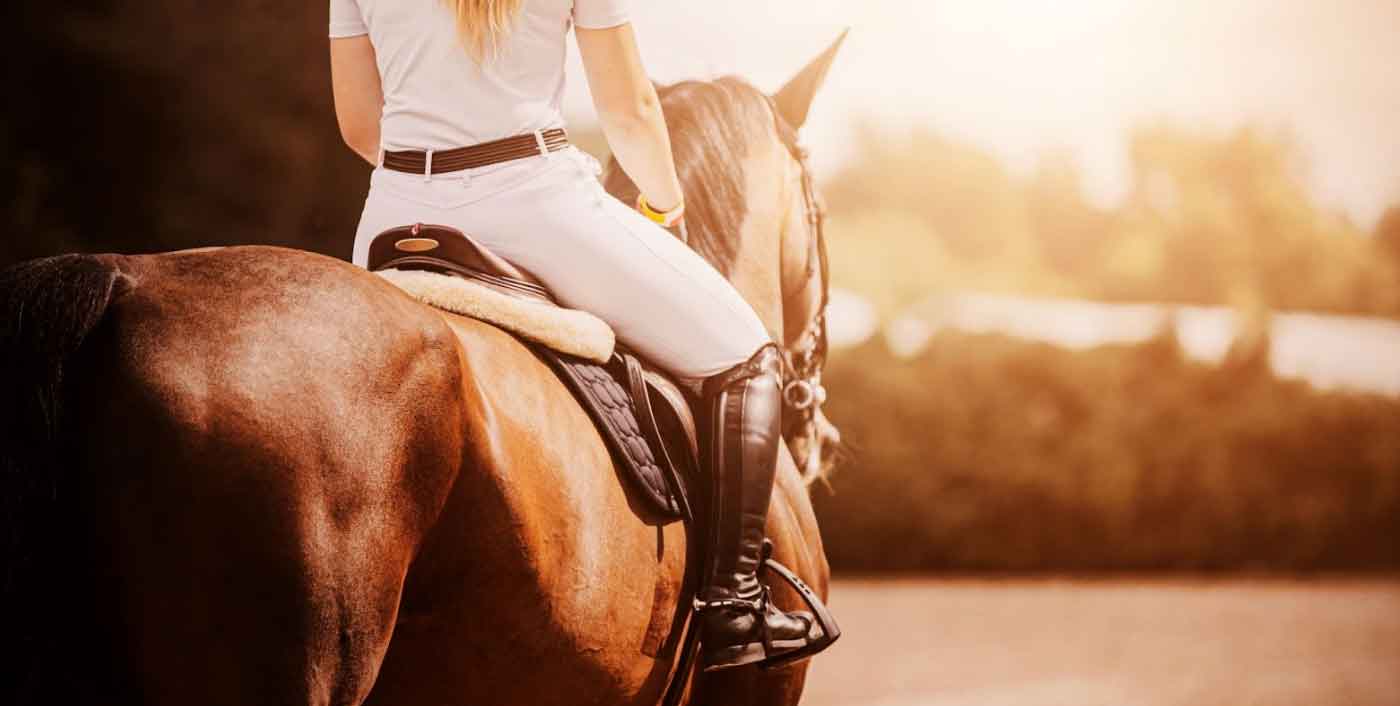 woman riding a horse in an English saddle